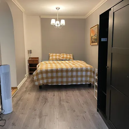 Lovely With Fireplace & Parking@city Center Apartment *