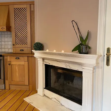 Lovely With Fireplace & Parking@city Center Drammen