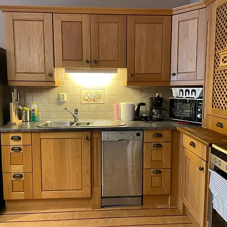Lovely With Fireplace & Parking@city Center Drammen