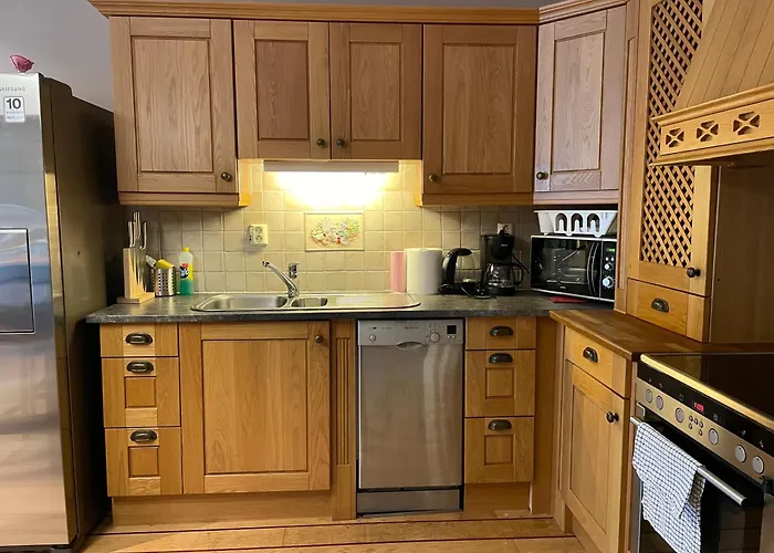 Lovely With Fireplace & Parking@city Center Drammen